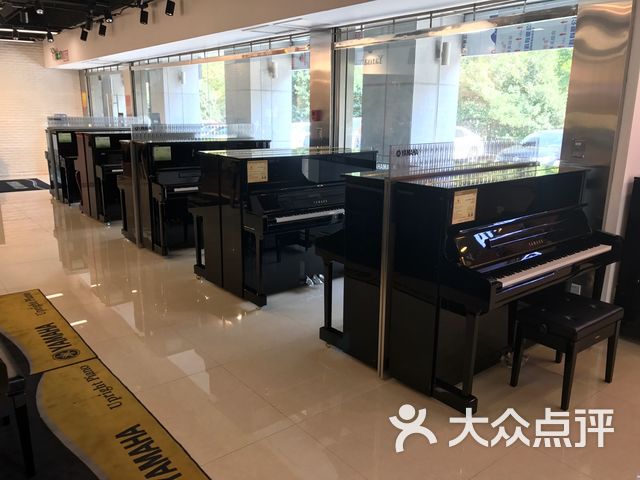 青大琴行(历山路店)课程_价格_简介_怎么样-济南学习