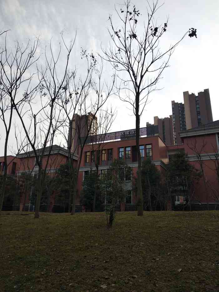 成都市锦江区银杏小学-"这个小学是锦江区新建的小学