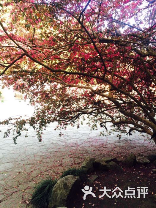 大武汉旅游卡(武汉景区旅游年卡)-图片-武汉生