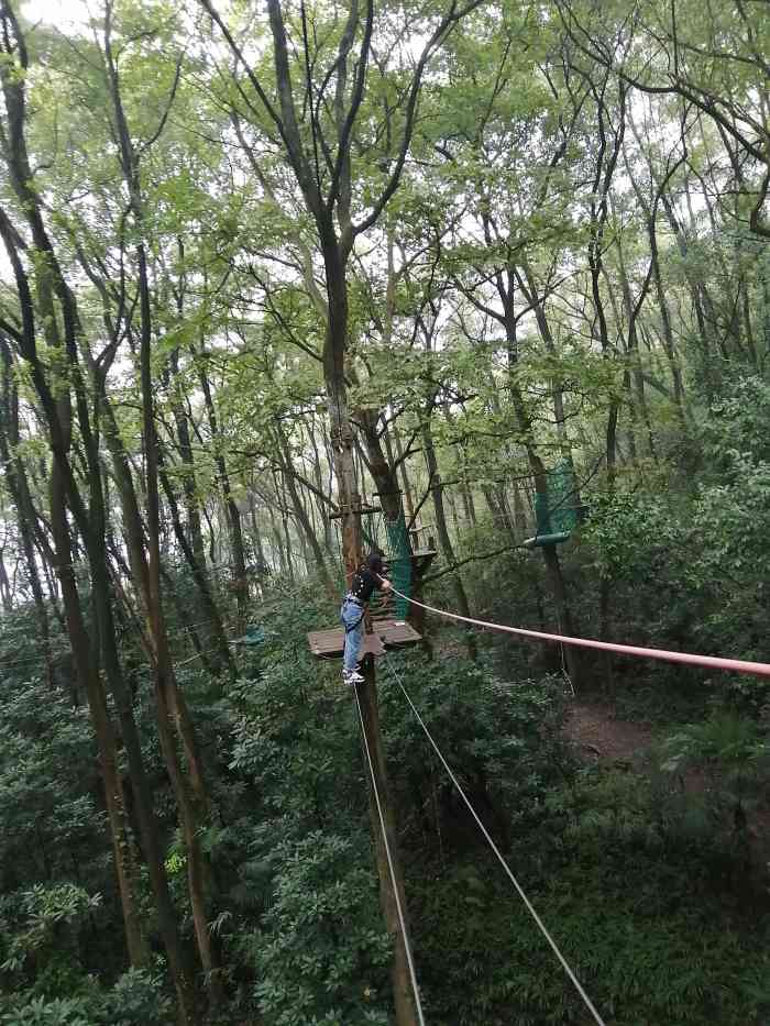 重庆飞越丛林探险乐园"地址:在歌乐山项目:适合带孩子去游玩.