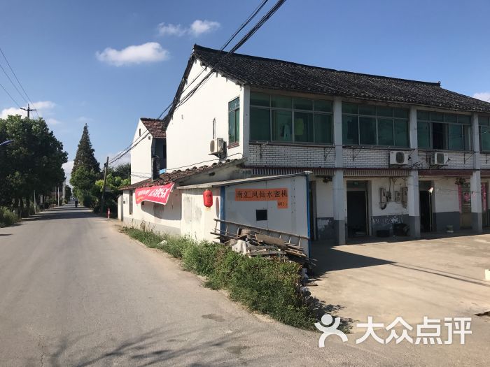 南汇新场凤仙水蜜桃田园农家乐图片 第1张