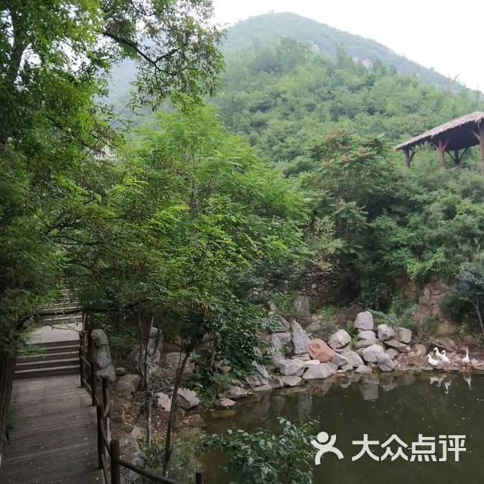 泉水鱼度假村