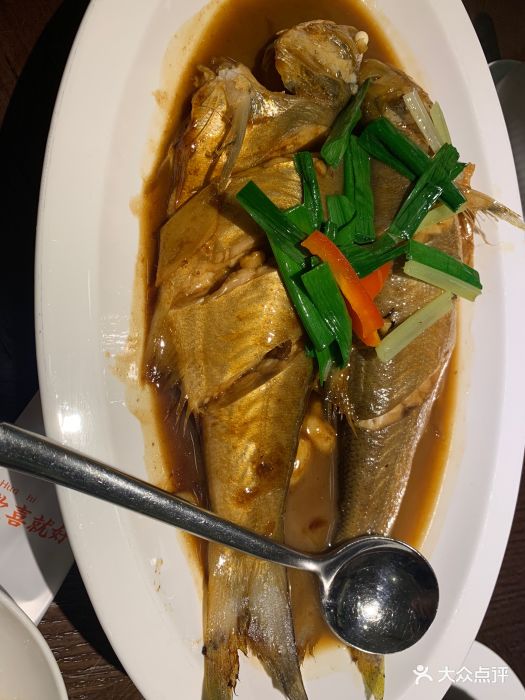 顶汁特伍鱼