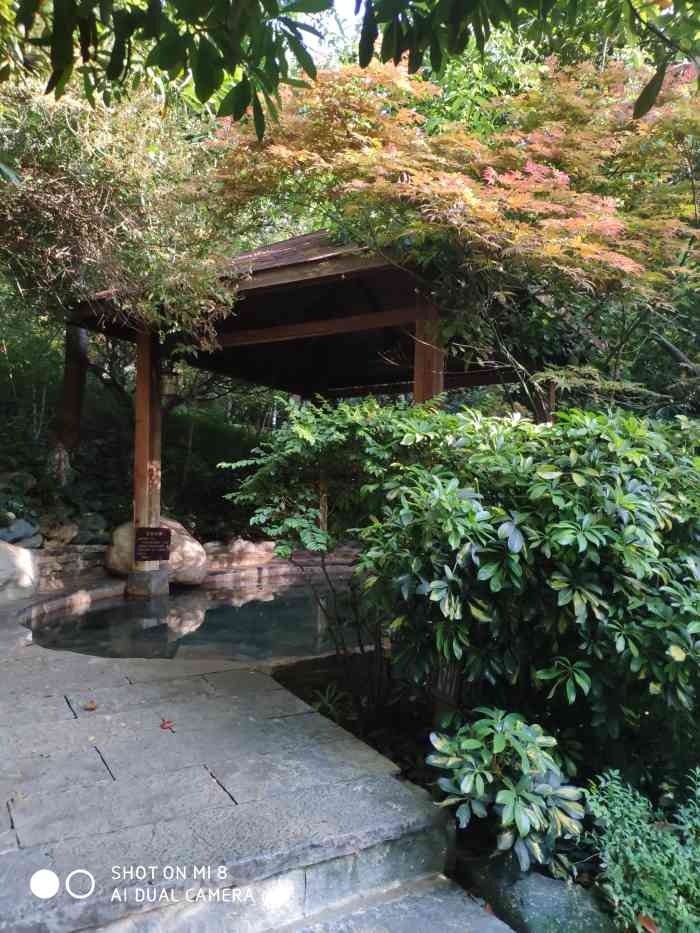 明熙森林温泉-"26个天然硫磺温泉泡池散落如颗颗宝石斑.