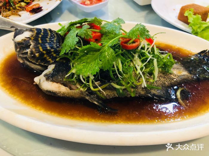 顺记海鲜(努沙杜瓦2分店)广式清蒸石斑鱼图片 - 第1张
