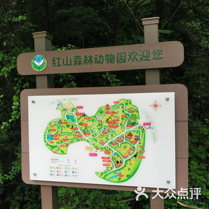 红山森林动物园
