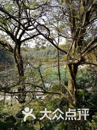 【车田农家乐】电话_地址_价格_营业时间_花