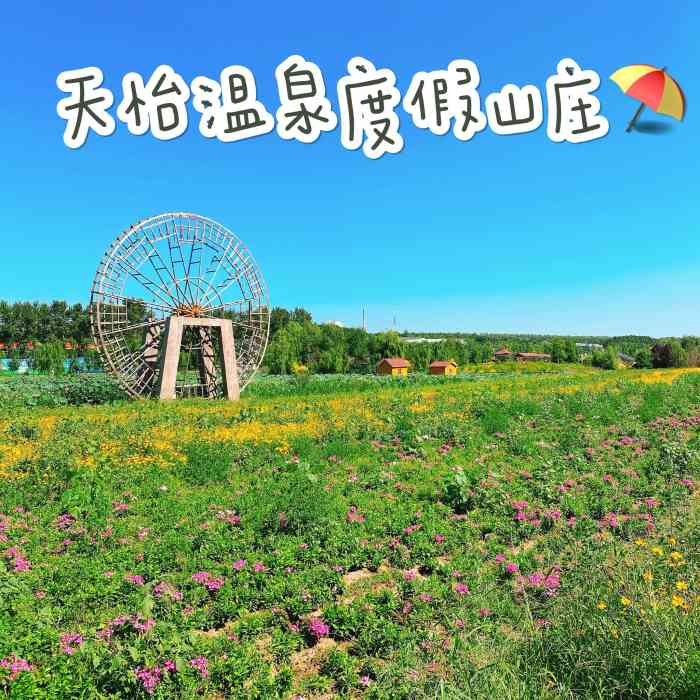 天怡温泉度假村"不错.室内外温泉都挺好的,特别室外环境好.