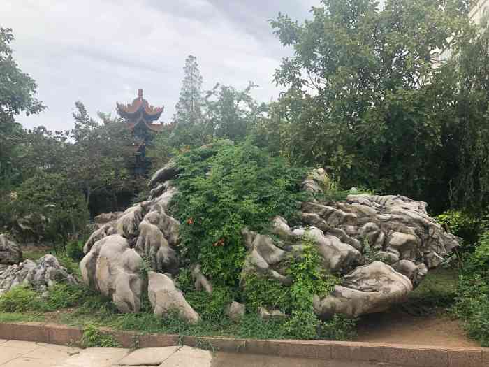 宝成奇石园"单位开会去的,参观了奇石园和博物馆,石头.