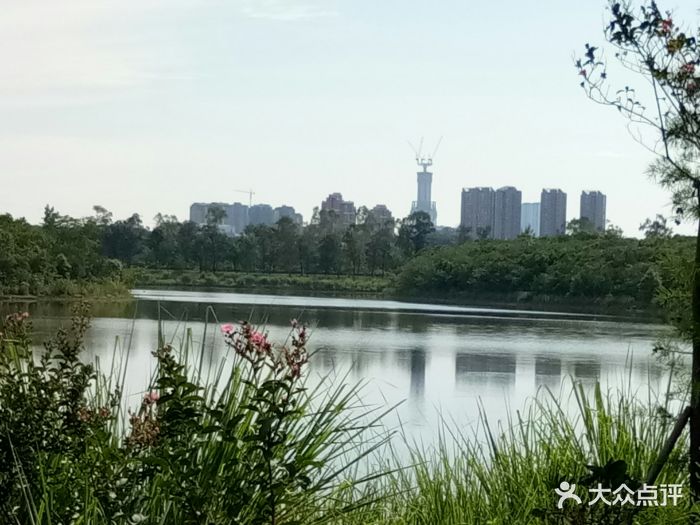 青龙湖湿地公园图片 - 第26张