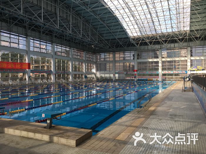 佛山三中游泳馆图片 第14张