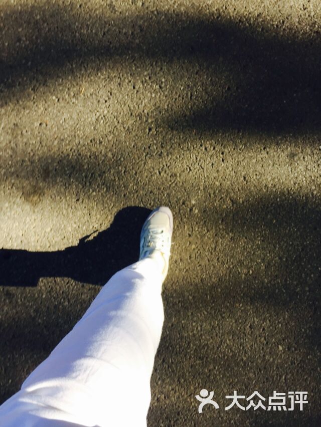 长久物流有限公司