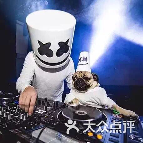 umm雷腾dj培训基地-图片-大庆生活服务