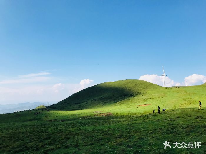 乌蒙大草原-图片-盘州市周边游-大众点评网