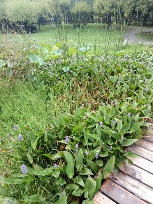 从东湖坐地铁跨越到解放公园现在已经清园了