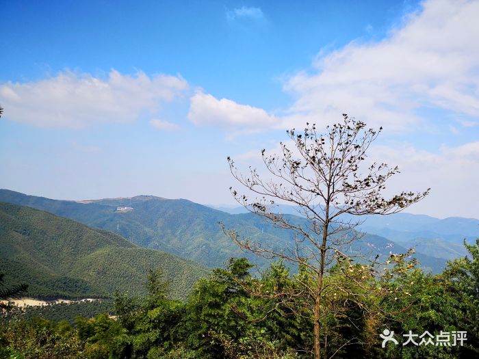 莫干山风景区图片 - 第96张