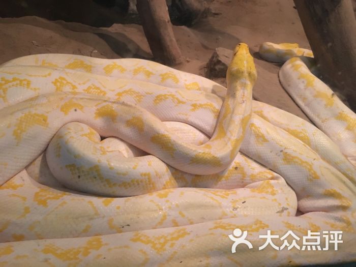 北京动物园图片 - 第2928张