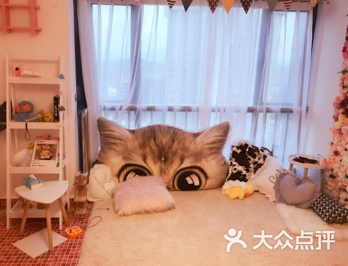 mocha猫咖休闲猫咪生活馆图片 第3张