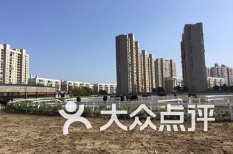 上海的镇排名_上海大学排名(2)