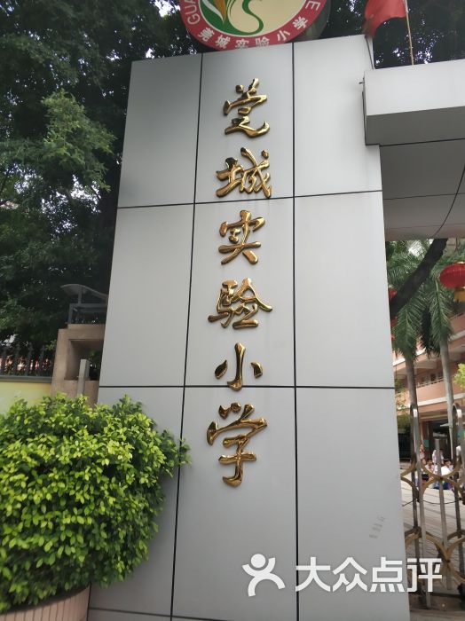 莞城实验小学图片 - 第1张