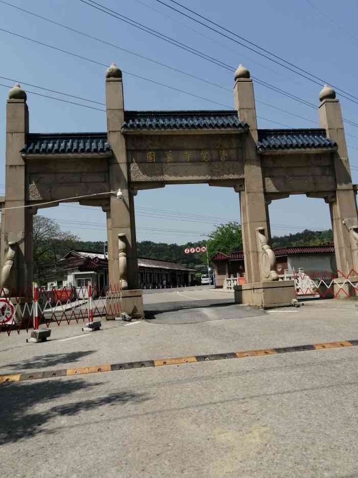 普觉寺墓园停车场"清明时节雨纷纷,路上行人欲断魂.怕人多不.