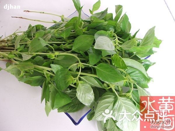 老韩家郑州羊肉烩面-荆芥可以做蒸荆芥、荆芥
