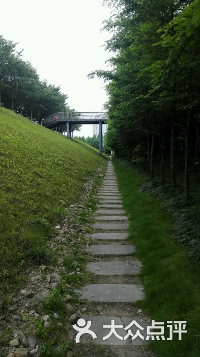 河滨公园南自行车租赁点-图片-德清县购物-大众点评网