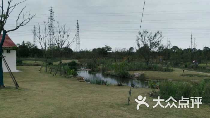 长兴岛郊野公园图片 - 第2973张