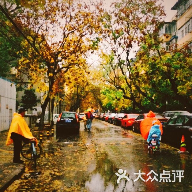 安德里北街占道停车场-图片-北京爱车-大众点评