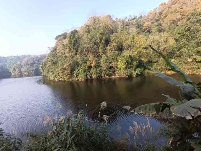 成都烟霞湖风景区-"烟霞湖风景区,给我最大感受就是.