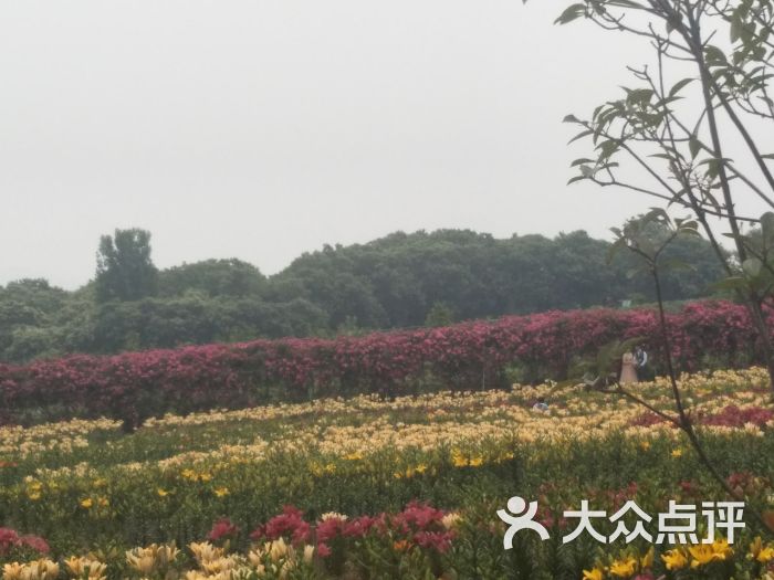 日照花仙子风景区图片 - 第7张