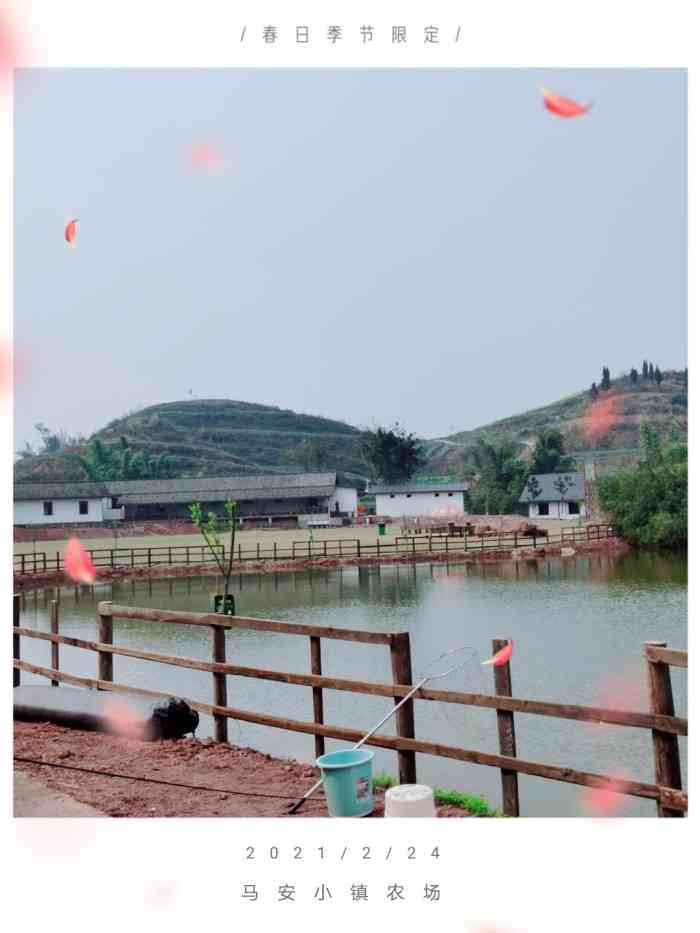 马安小镇农场-"在旁边醋厂去买了醋过来玩,顺便吃饭.