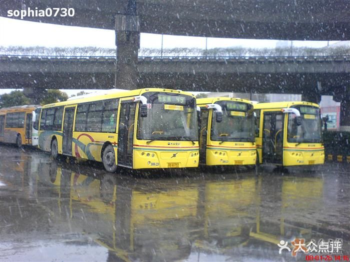 公交车(49路)外观图片 - 第544张