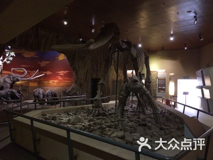 黄河国家地质博物馆-图片-郑州周边游-大众点评网