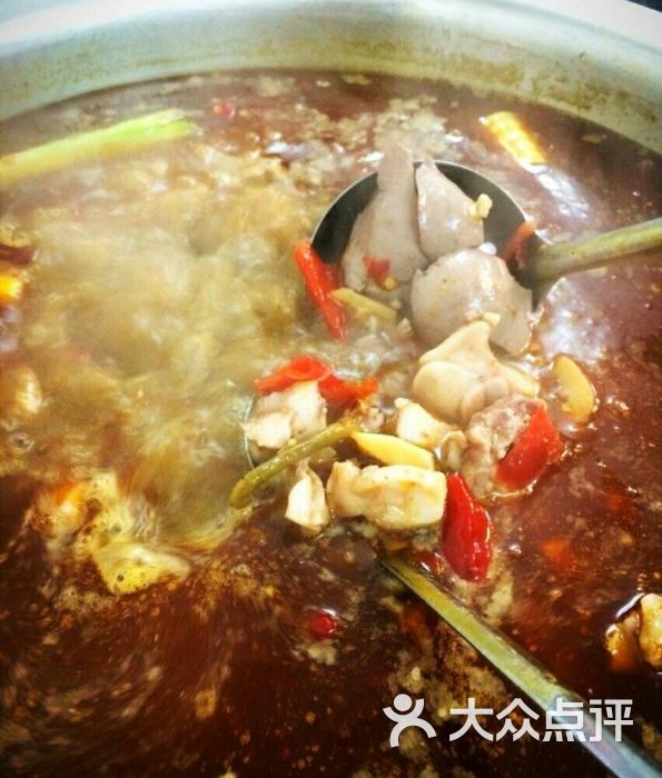 活水兔(一只)