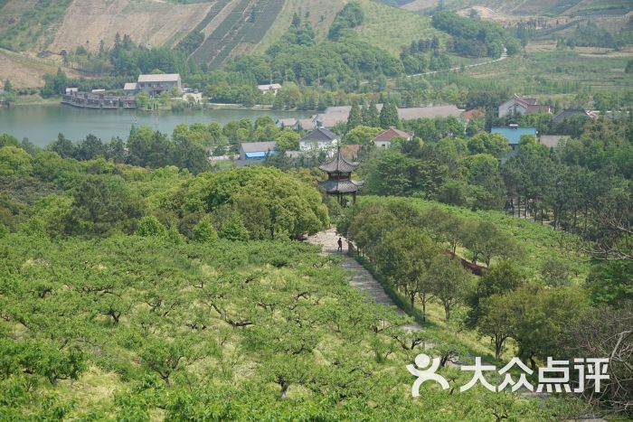 城山沟桃源山庄图片 - 第24张