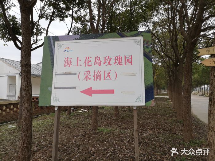 海上花岛玫瑰园采摘-图片-崇明区亲子-大众点评网