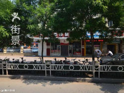 秦皇岛公司排名_秦皇岛旅行社排名(2)