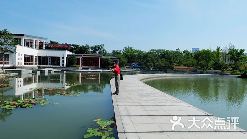 芦荡湖湿地公园图片 - 第6张