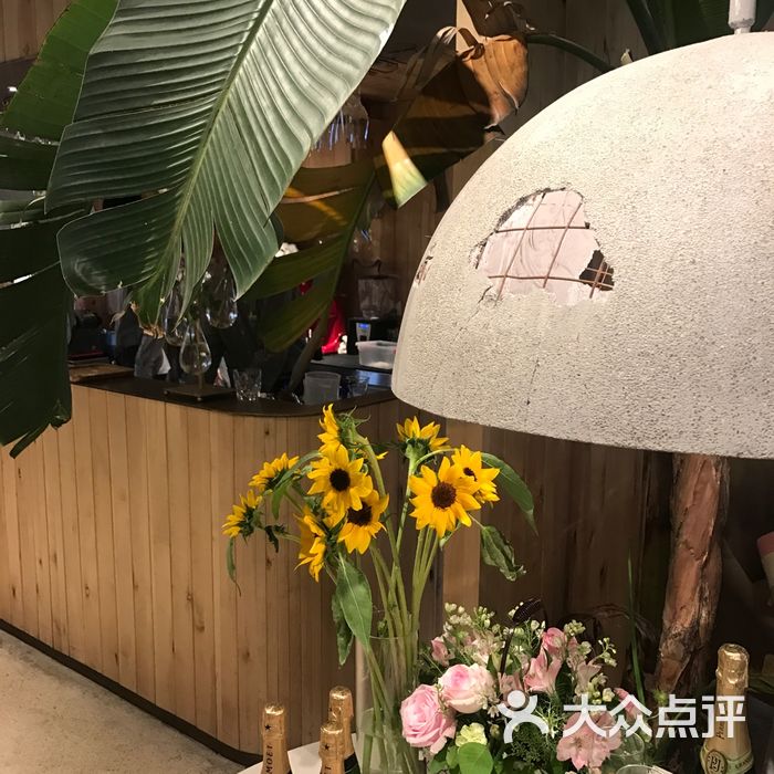 tomacado花厨图片-北京西餐-大众点评网