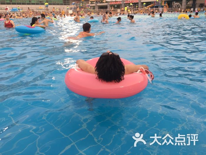宝安体育馆游泳馆-图片-深圳运动健身