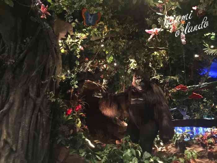 rainforest cafe at disney"s animal kingdom-"乐园