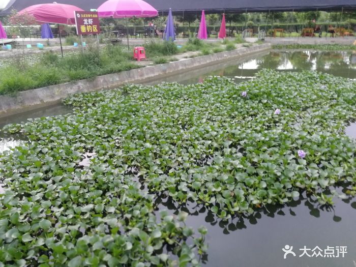 文武龙虾美食生态园图片 - 第46张