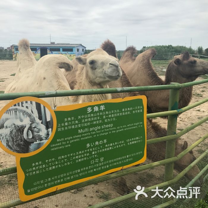 大丰港动物园图片-北京动物园-大众点评网