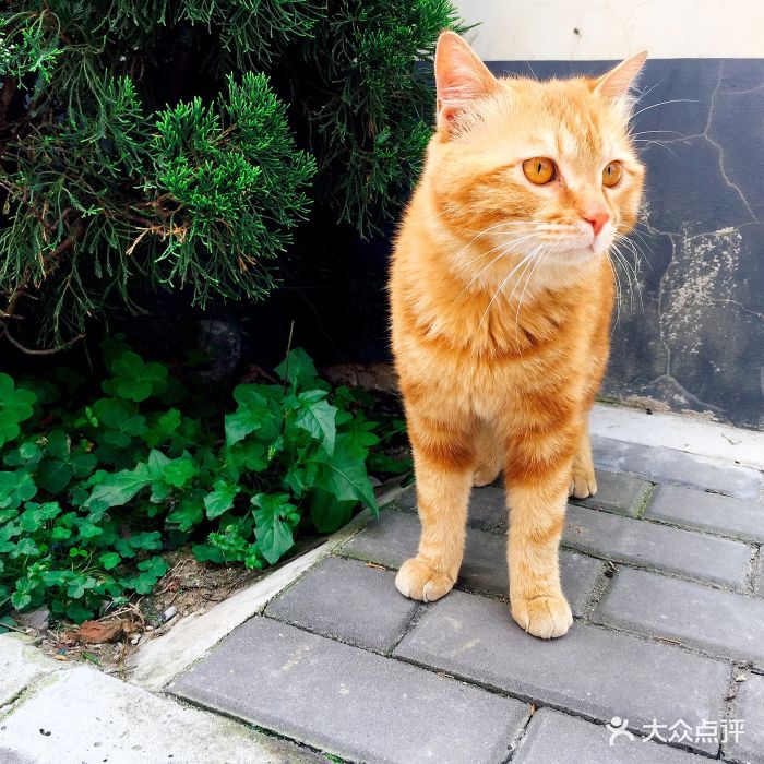 苏州市民治路幼儿园托儿部