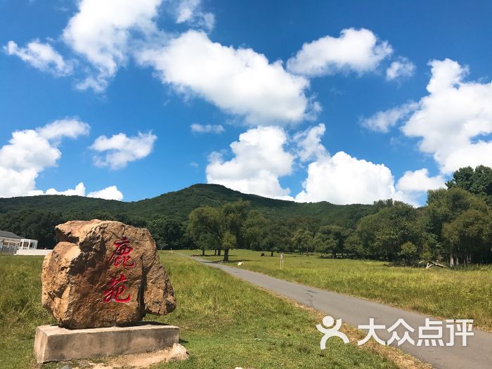 森工平山神鹿旅游区-图片-哈尔滨周边游-大众点评网