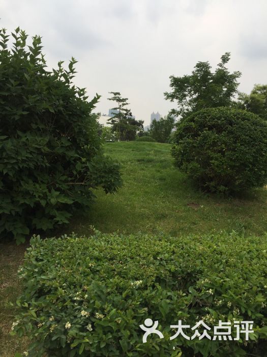 李铁8号足球公园-kinalemon的相册-沈阳运动健