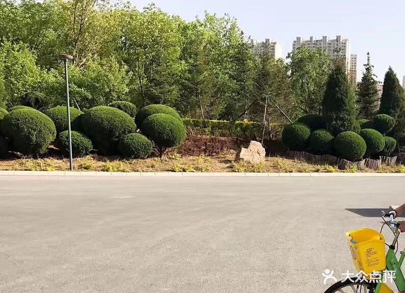 最近晚上经常的从东湖公园走回家,所以真切.