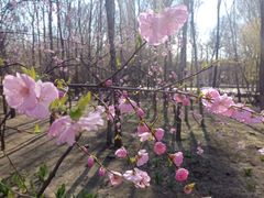 -哈尔滨文化公园