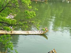 -东湖落雁景区